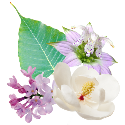 Boundless Wisdom Flower Essence Mist