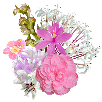 Divine Within Flower Essence Elixir