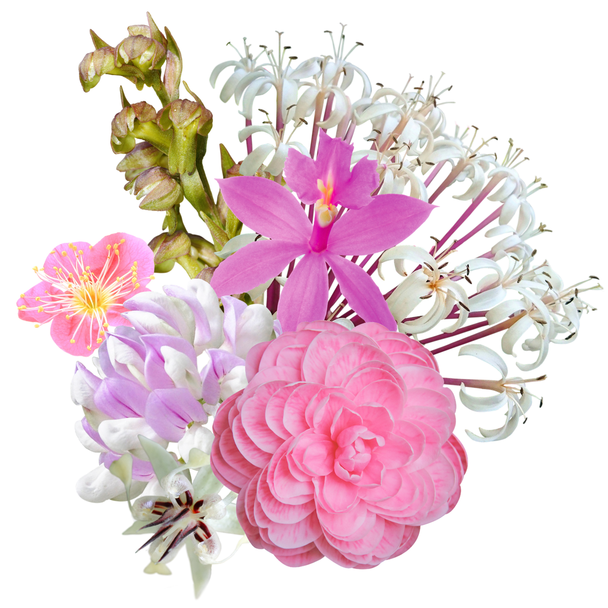 Divine Within Flower Essence Mist