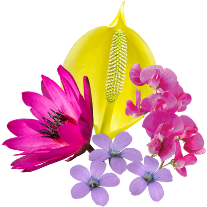 Expansive Presence Flower Essence Anointing Oil