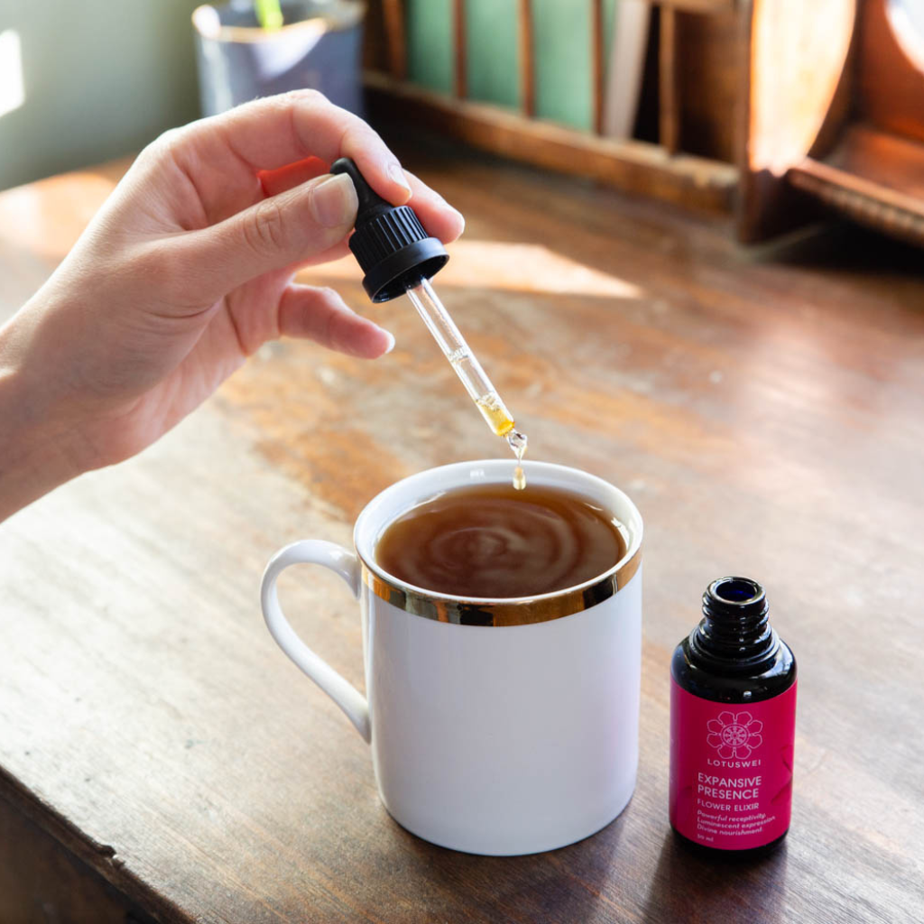 Expansive Presence Flower Essence Elixir