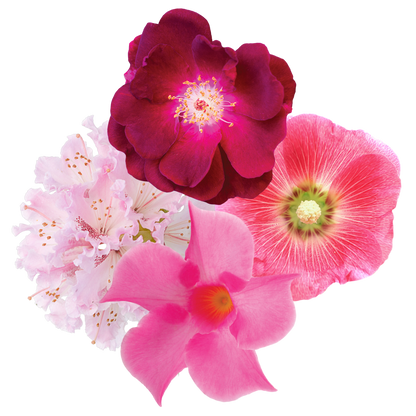 Fierce Compassion Flower Essence Mist
