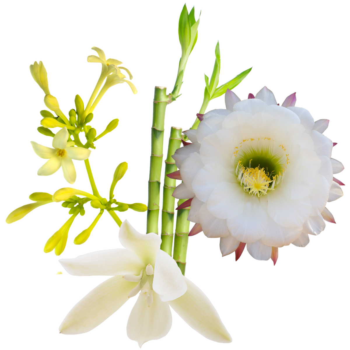 Full Bloom Flower Essence Mist