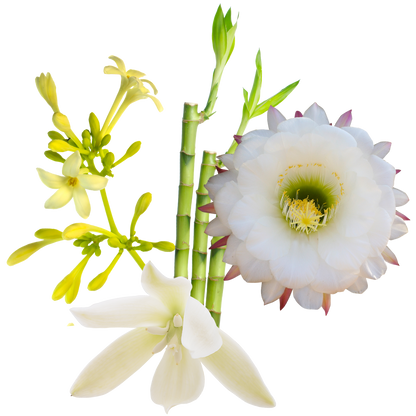 Full Bloom Flower Essence Mist