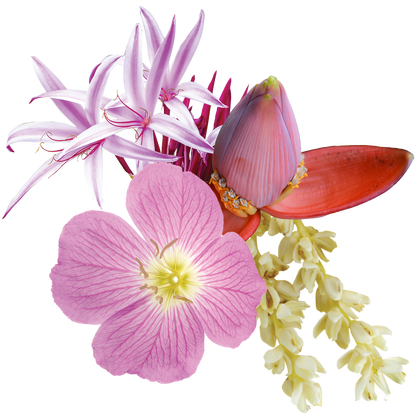 Gamechanger Flower Essence Anointing Oil