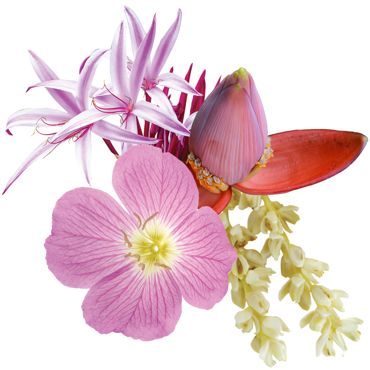 Gamechanger Flower Essence Mist
