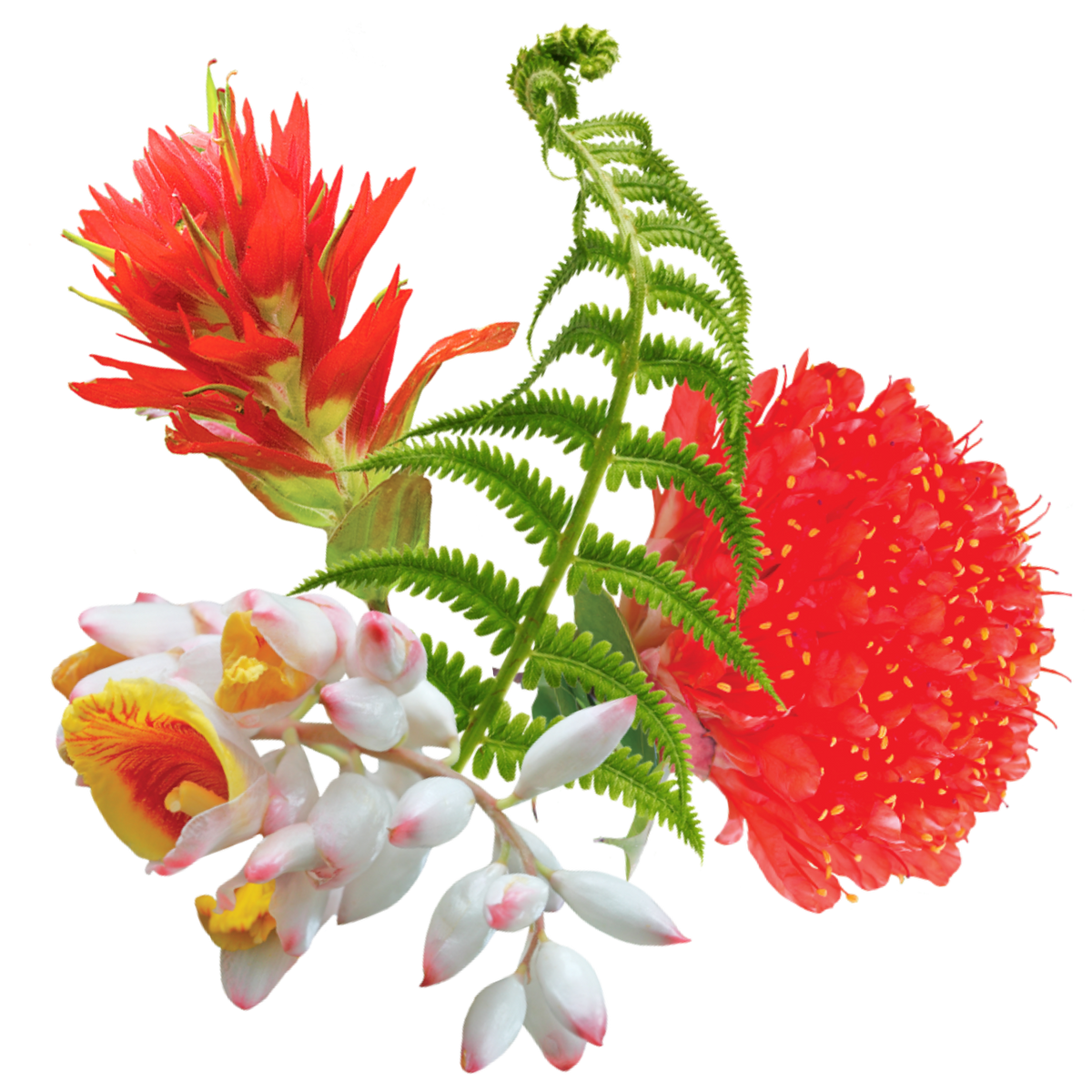 Inner Knowing Flower Essence Mist
