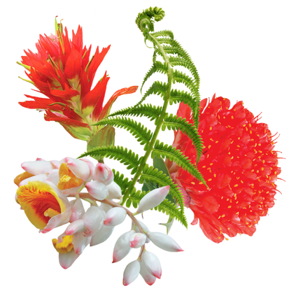Inner Knowing Flower Essence Elixir
