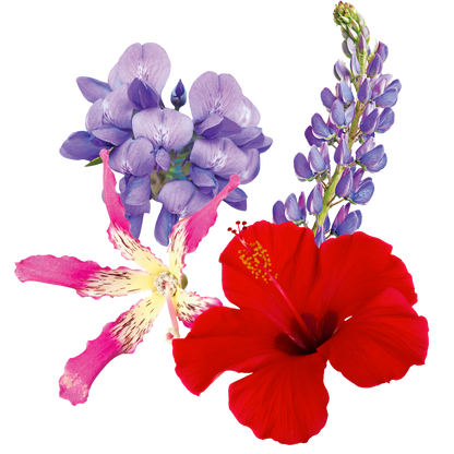 Inner Peace Flower Essence Elixir