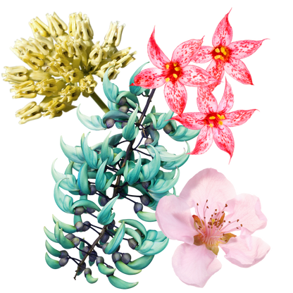 Luminous Chi Flower Essence Elixir