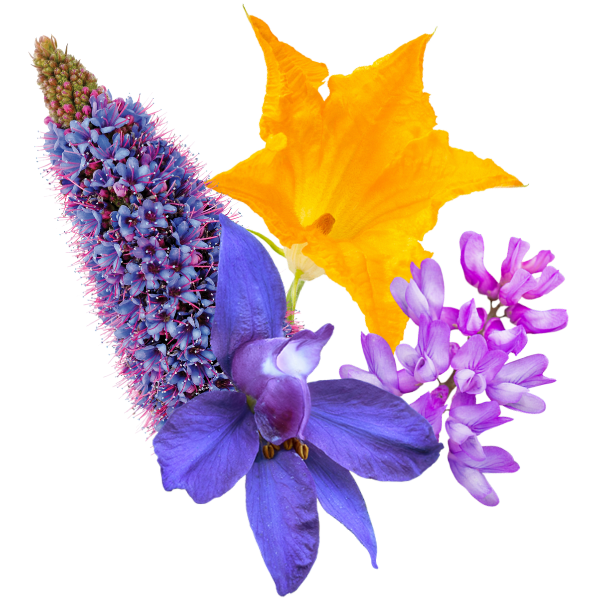 Luscious Embodiment Flower Essence Mist
