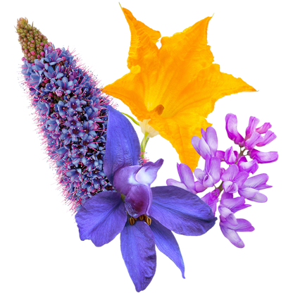 Luscious Embodiment Flower Essence Mist