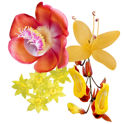 Open Heart Flower Essence Anointing Oil