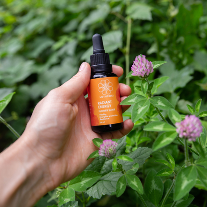 Radiant Energy Flower Essence Elixir