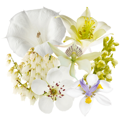 Sacred Heart Flower Essence Elixir
