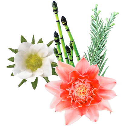 True Strength Flower Essence Elixir