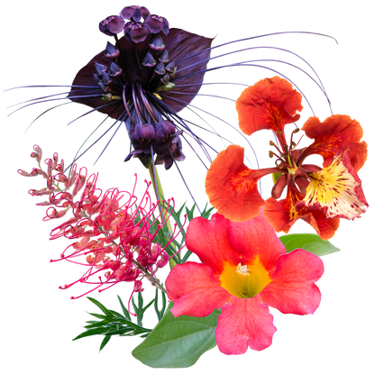 Truthteller Flower Essence Mist